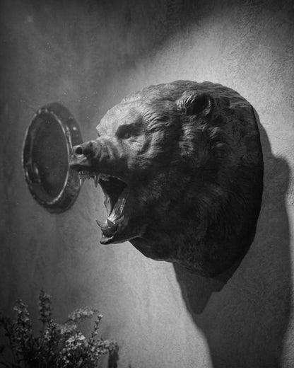 Hand-Carved Walnut Roaring Bear Head Wall Mount – image 8