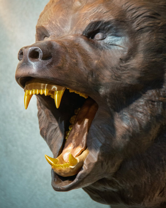 Hand-Carved Walnut Roaring Bear Head Wall Mount – image 2
